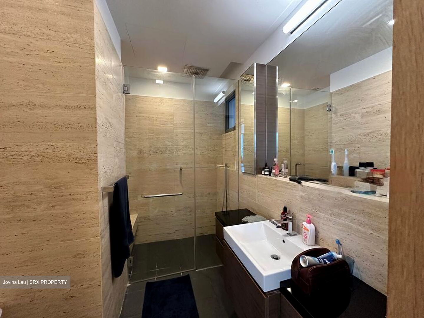 Balmoral Road (D10), Condominium #476188971